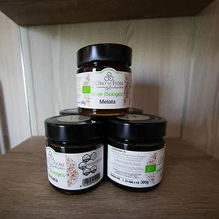 Honey Panzió