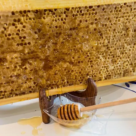 Hotel Honey Ripacandida