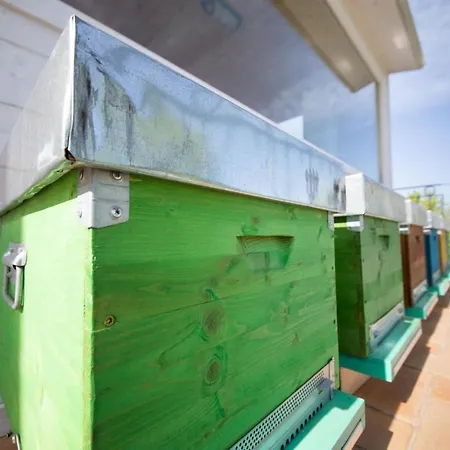 Honey Hotel Ripacandida