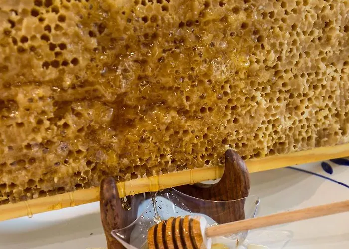 Hotel Honey Ripacandida