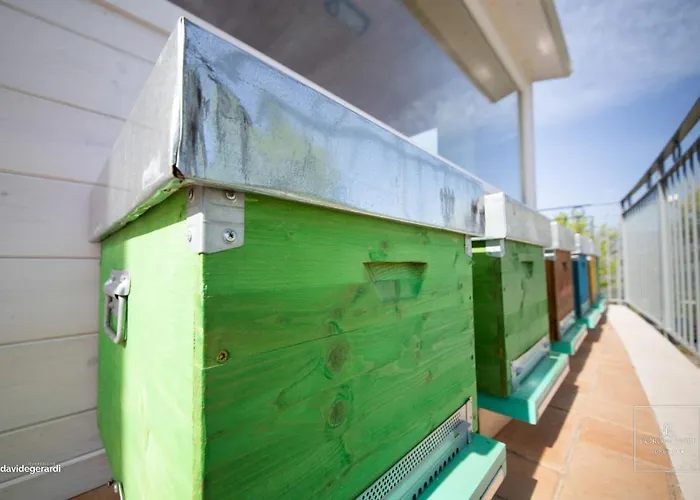 Honey Hotel Ripacandida